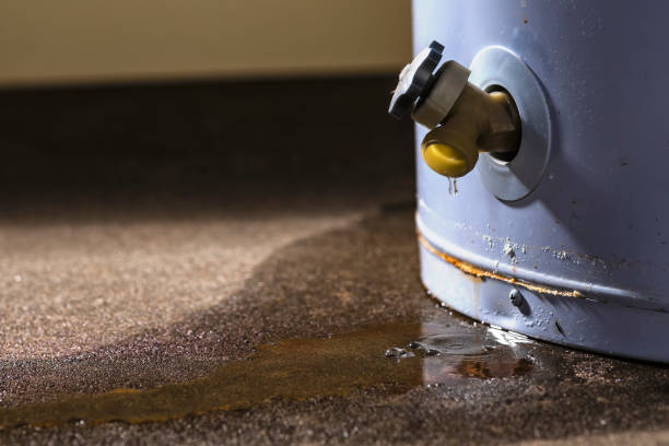 Best Ceiling water damage repair  in Oak Lawn, IL