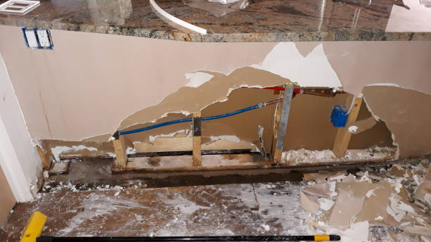 Best Water damage cleanup near me  in Oak Lawn, IL
