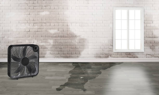 Fire Damage Restoration in Oak Lawn, IL