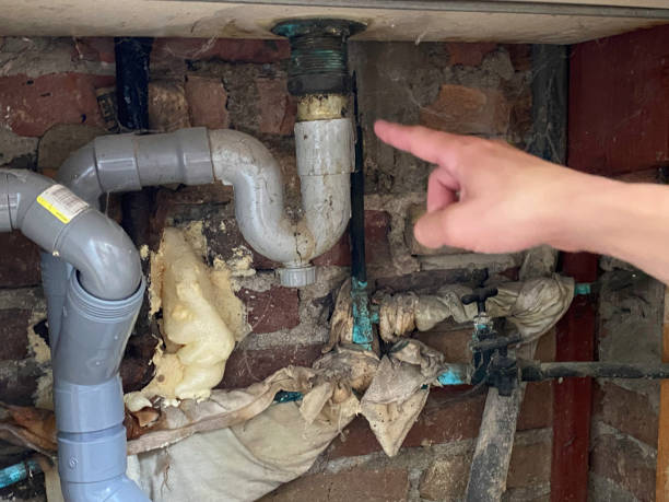 Best Water damage restoration near me  in Oak Lawn, IL