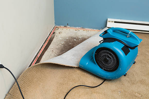 Best Water damage contractors near me  in Oak Lawn, IL